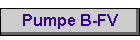 Pumpe B-FV